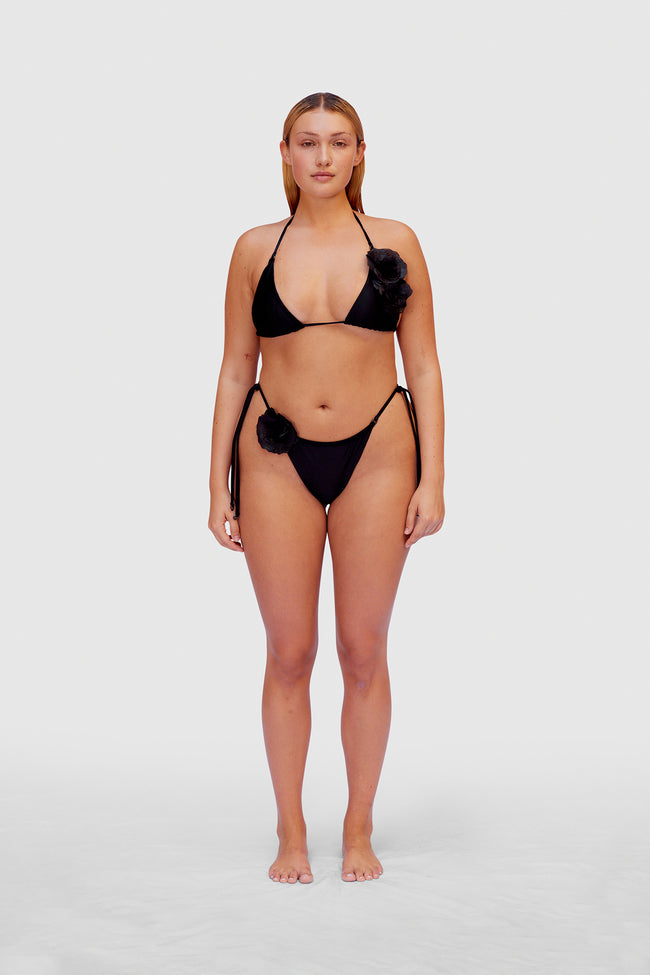 Shimmer Brazilian Bikini
