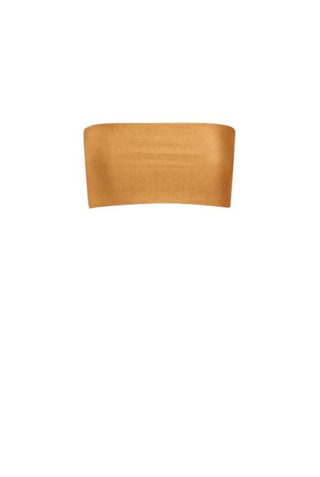 Rust Bandeau Top