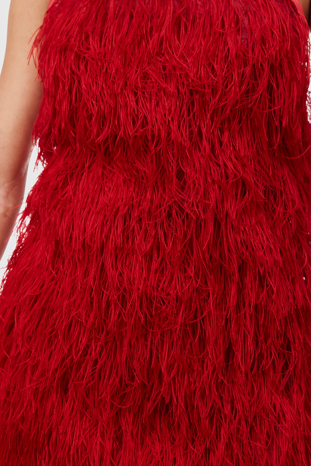 Red Feather Dress