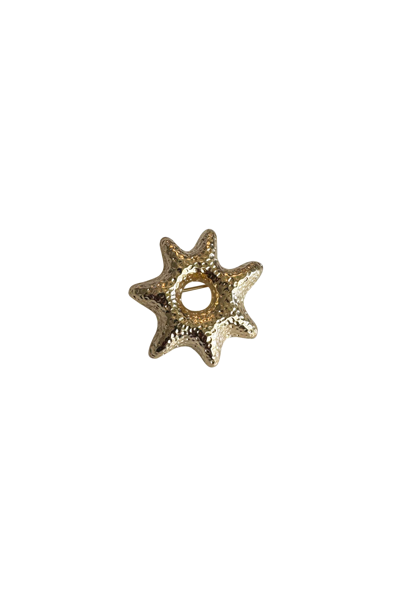 Star Gold Pin
