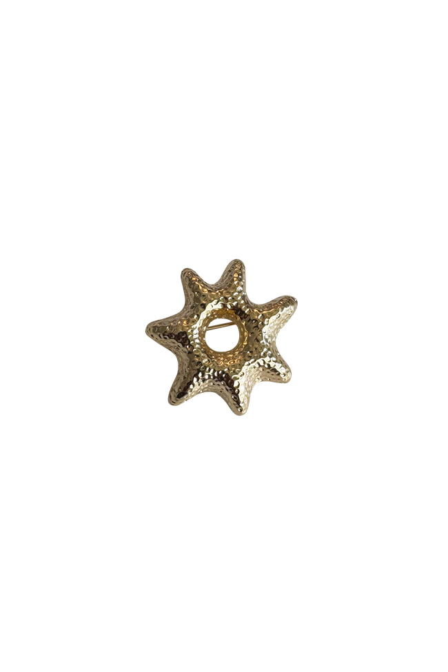 Star Gold Pin