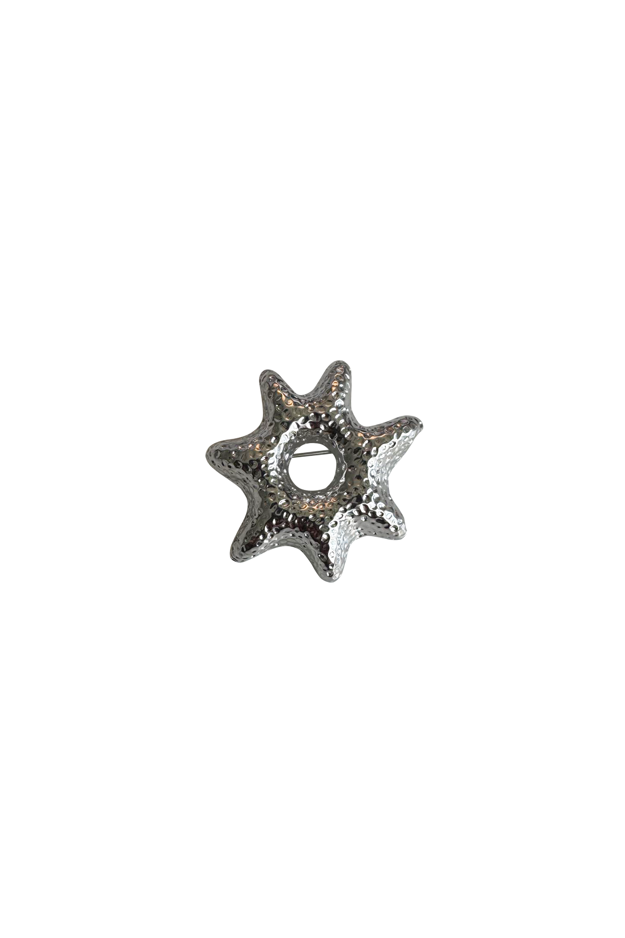 Star Silver Pin