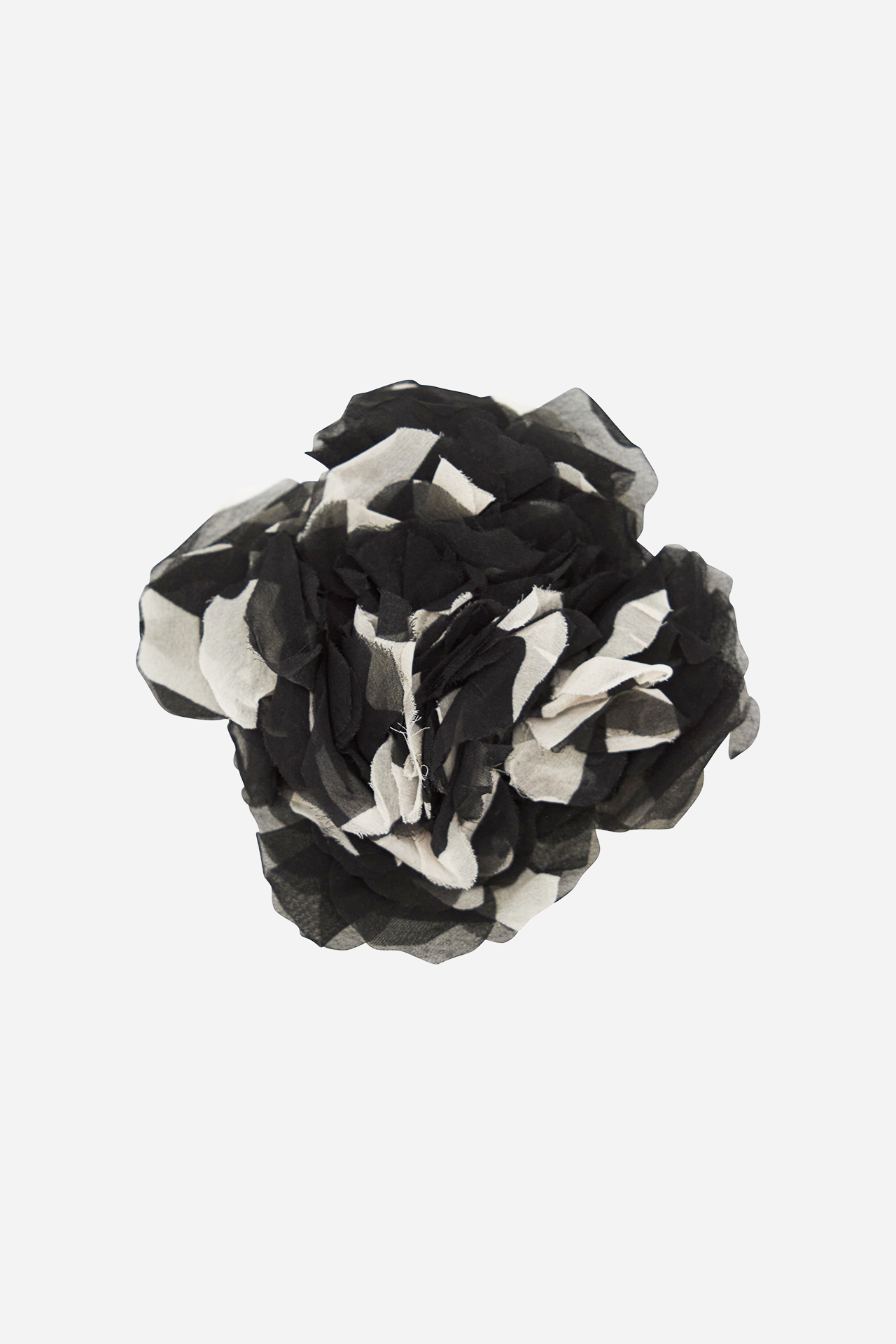 Black & White Blume