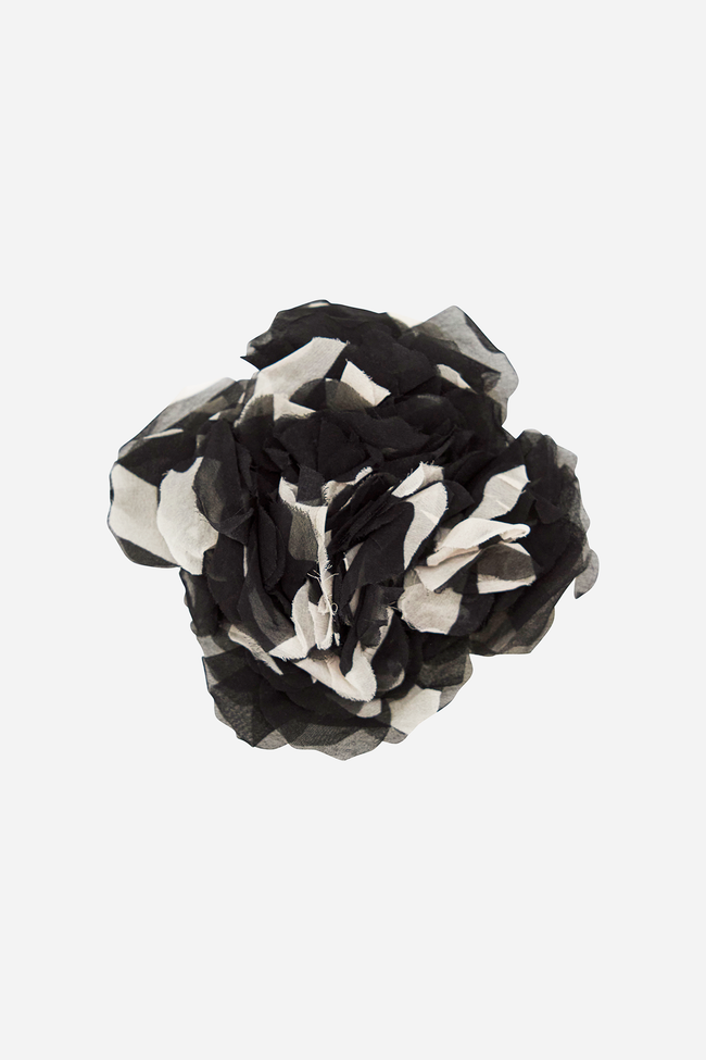 Black & White Flower