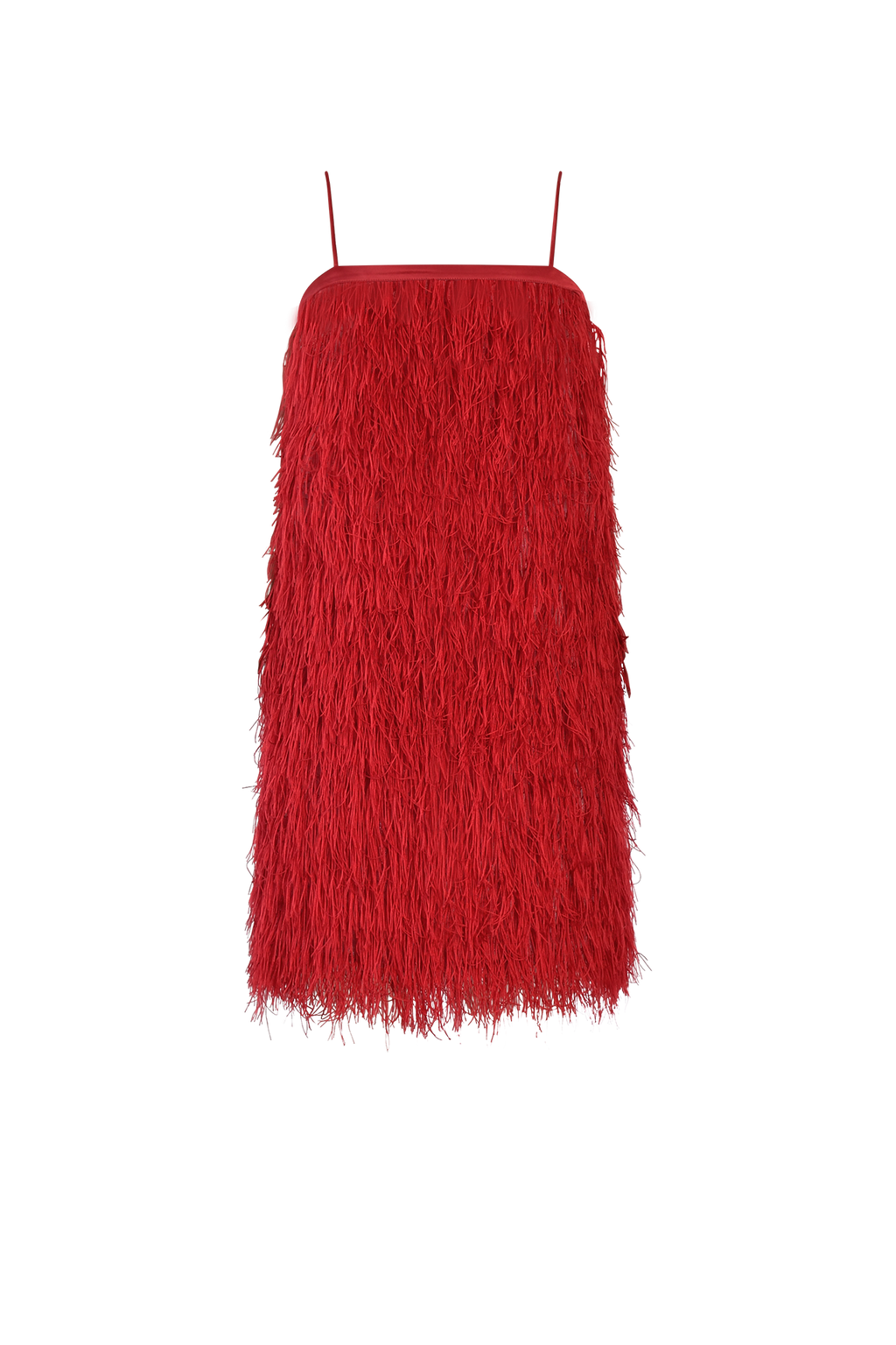 Red Feather Dress