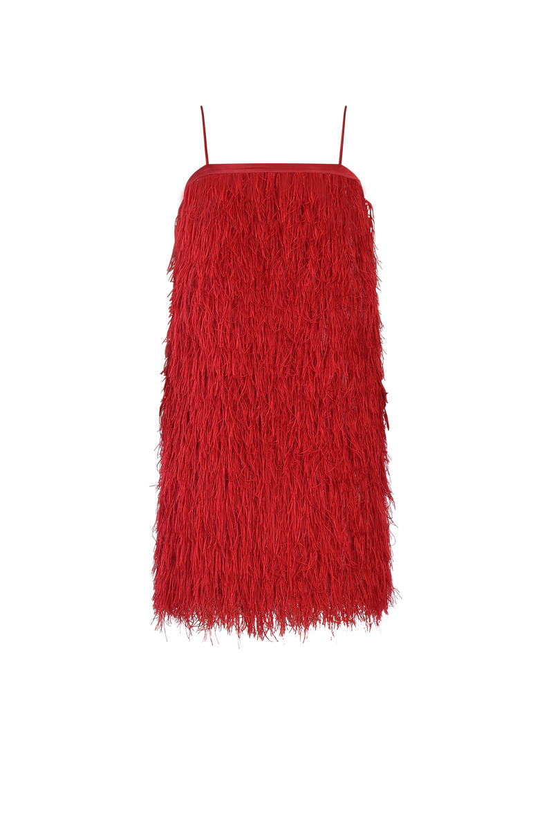 Red Feather Dress
