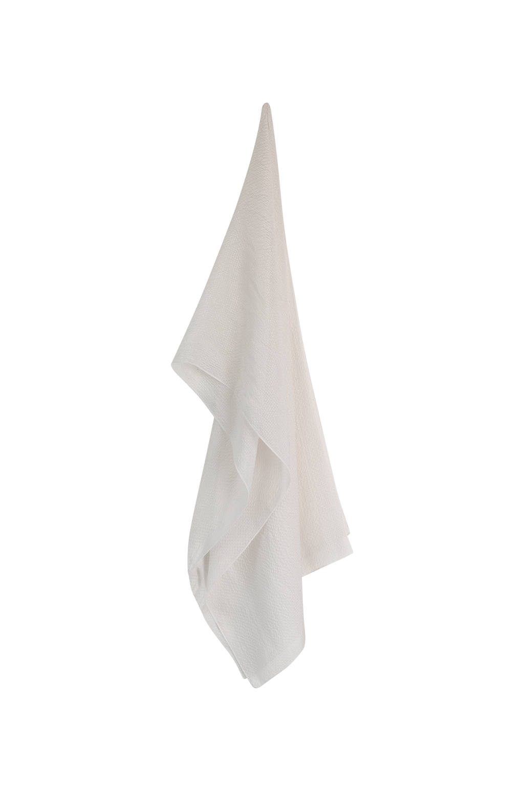 Silk Scarf