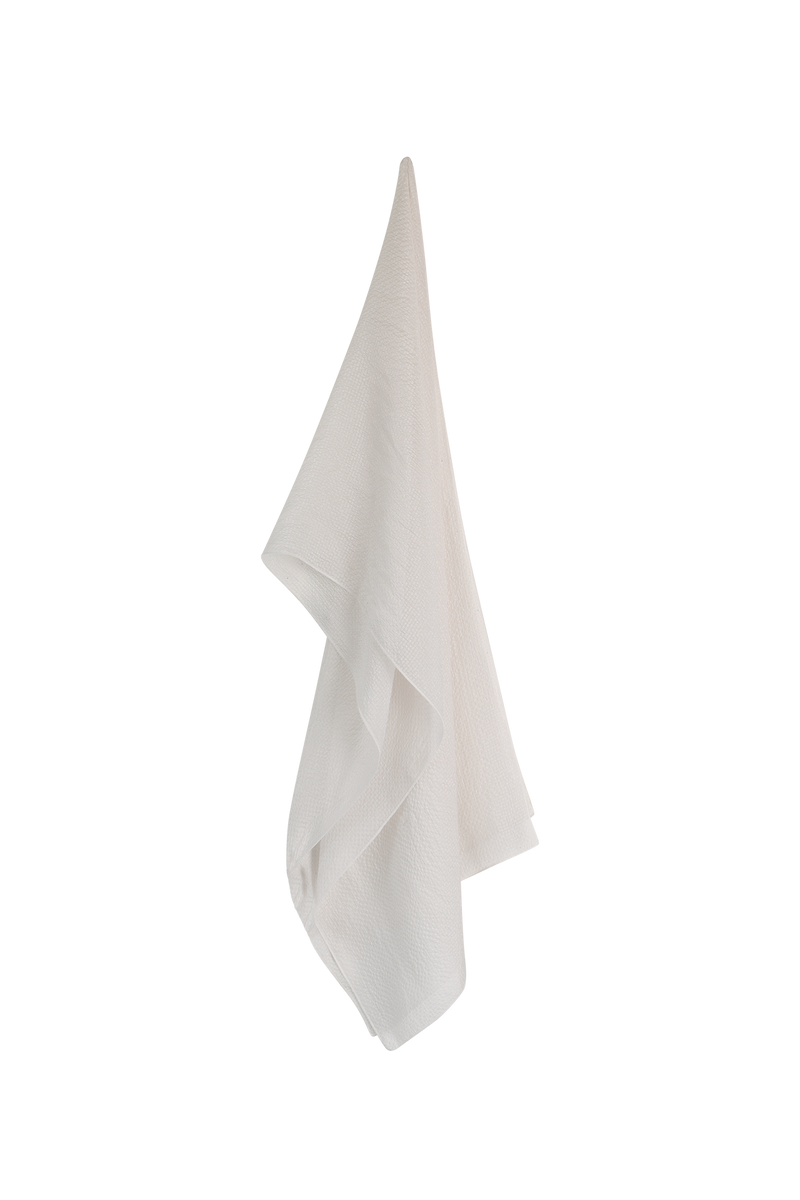 Silk Scarf